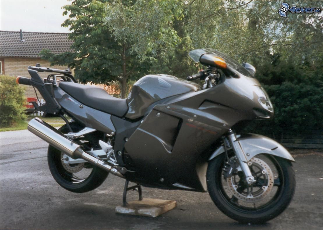[obrazky.4ever.sk] motorka 9303531.jpg